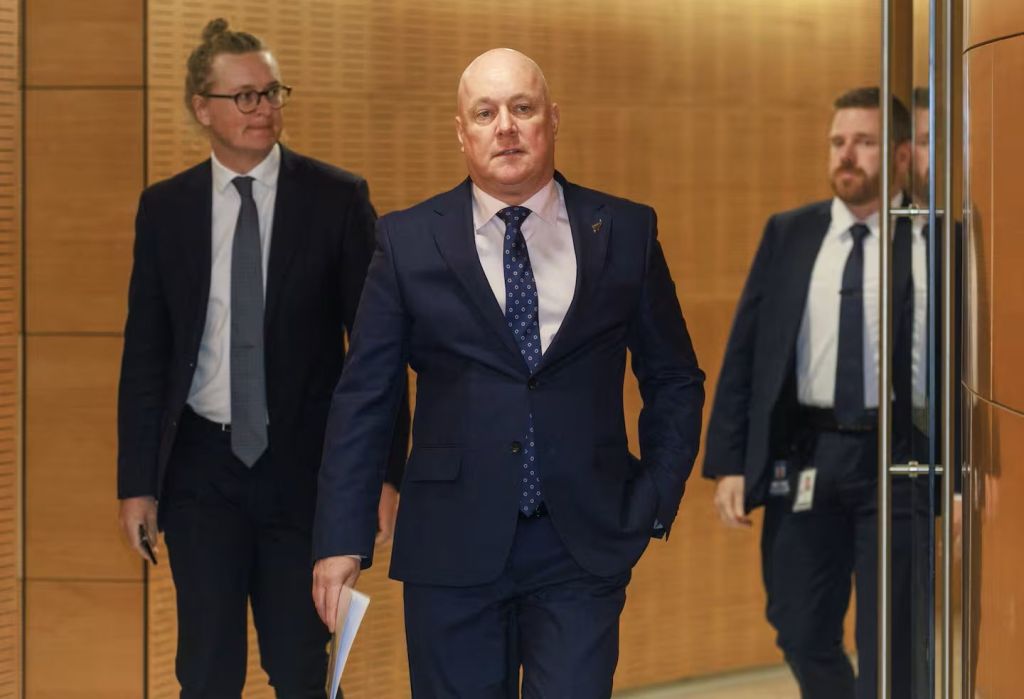 Christopher Luxon: A Prime Minister offering more of the same in 2026.